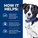 Hill’s Prescription Diet i/d Stress Digestive Care Rice Vegetable & Chicken Stew Canned Dog Food (5.5 oz x 24 cans)