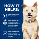 Hill’s Prescription Diet k/d Kidney Care Beef & Vegetable Stew Canned Dog Food (12.5 oz x 12 cans) - Prescription Dog