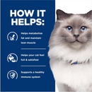 Hill’s Prescription Diet r/d Weight Reduction Chicken Flavor Canned Cat Food (5.5 oz x 24 cans) - Prescription Cat Food