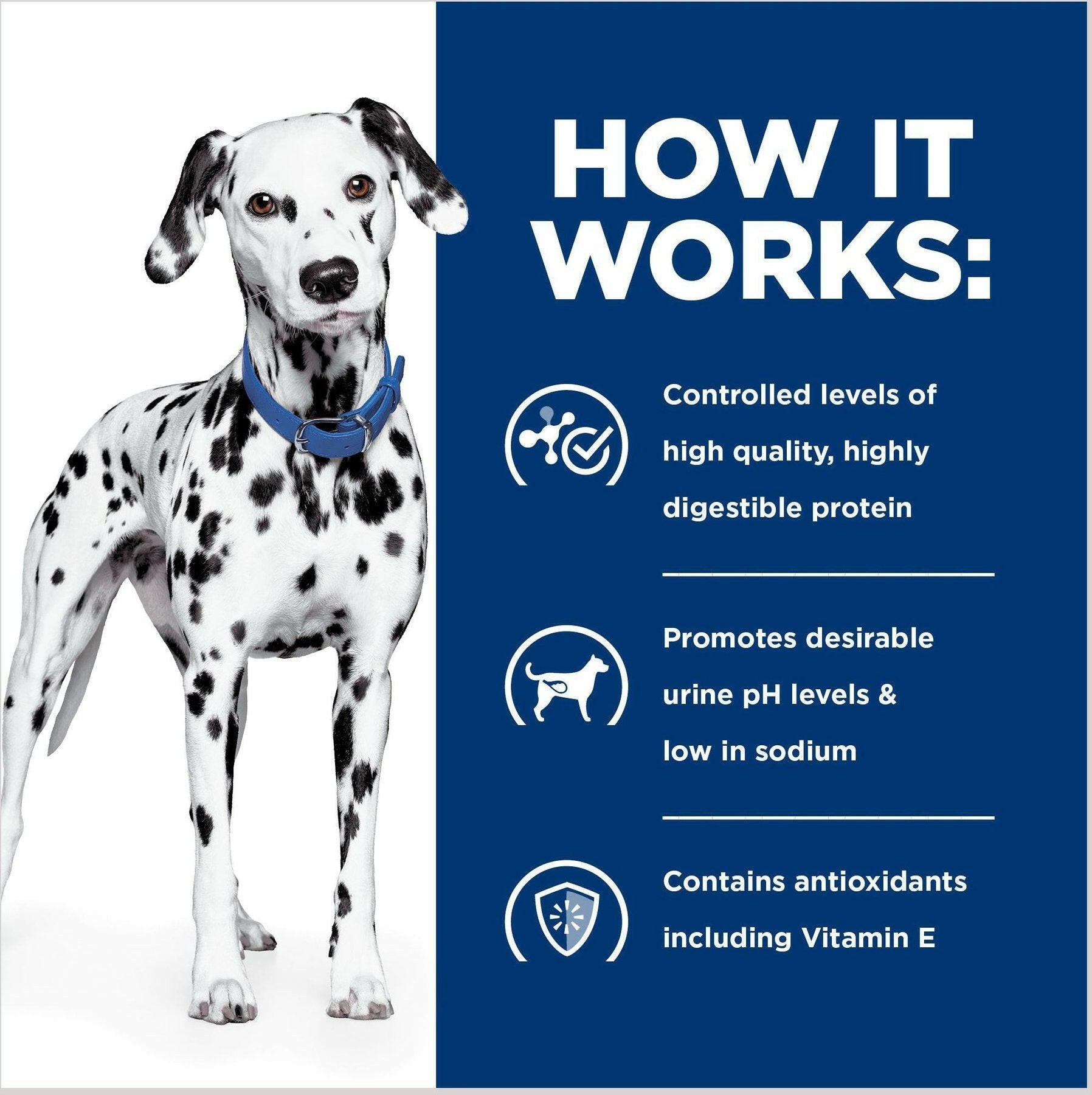 Hill's Prescription Diet u/d Urinary Care Wet Dog Food (13