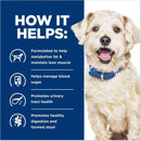 Hill’s Prescription Diet w/d Multi-Benefit Digestive / Weight / Glucose / Urinary Management Vegetable & Chicken Stew