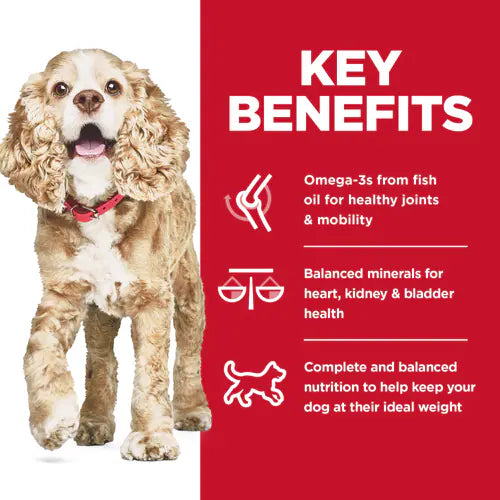 Hill’s Science Diet Adult 11+ Small & Mini Chicken Meal Brown Rice & Barley Recipe Dry Dog Food - Small Breed Dog Food 2