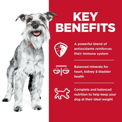 Hill’s Science Diet Adult 7+ Small & Mini Chicken Meal & Brown Rice Recipe Dry Dog Food - Small Breed Dog Food 4