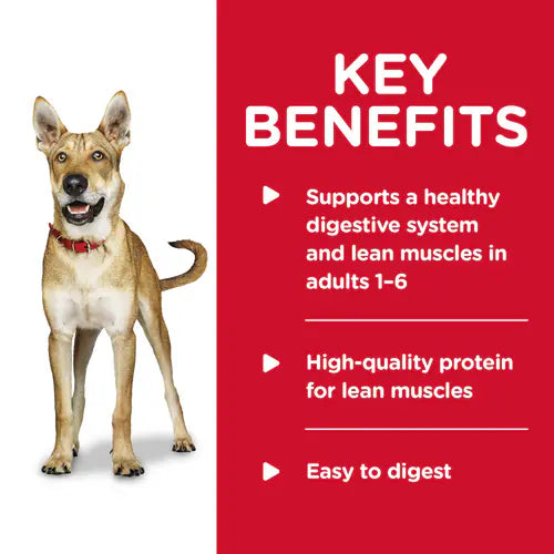 Key Benefits