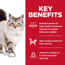 key benefits