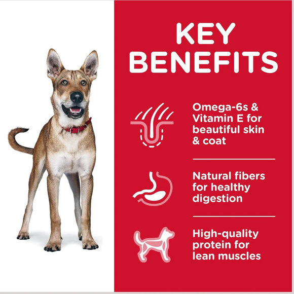Hill’s Science Diet Adult Dry Dog Food Chicken & Barley Recipe - Dry Dog Food 4