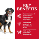 Hill’s Science Diet Adult Large Breed Dry Dog Food Chicken & Barley Recipe - Dry Dog Food 4