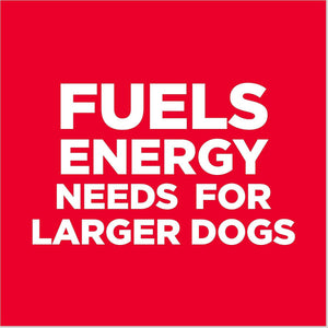 Hill’s Science Diet Adult Light Large Breed Dry Dog Food Chicken Meal & Barley - Dry Dog Food 2