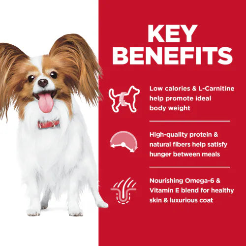 Hill’s Science Diet Adult Light Small & Mini Breed with Chicken Meal & Barley Dry Dog Food - Small Breed Dog Food 2