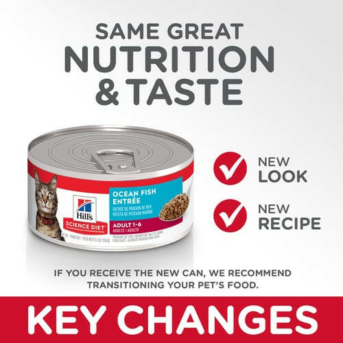 Key changes