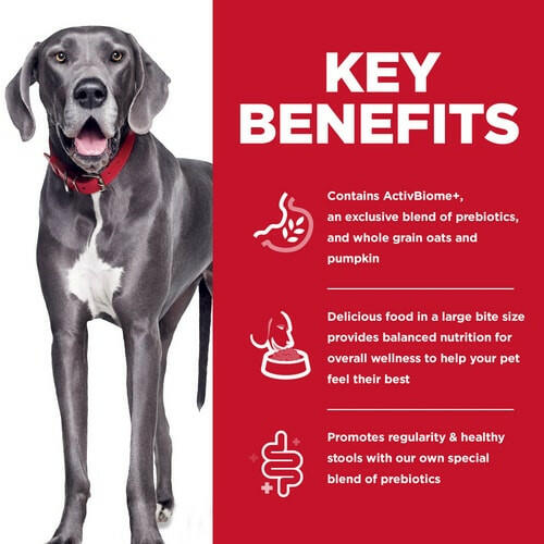 Key Benefits