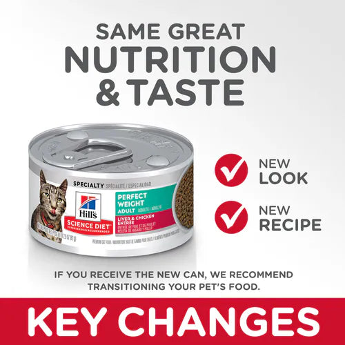 Key changes