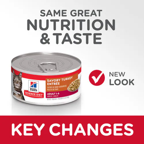 Key changes