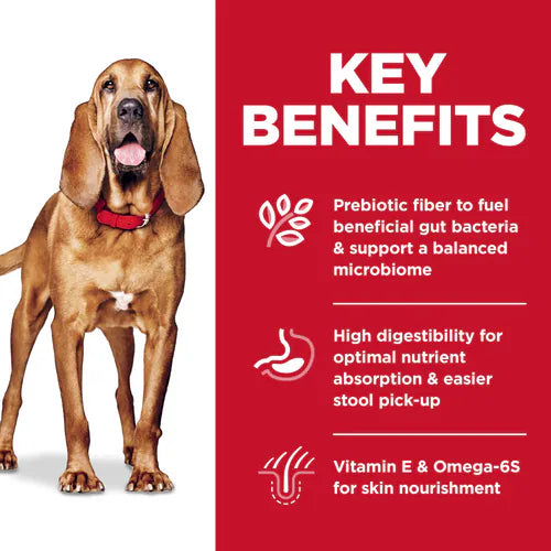 Key Benefits