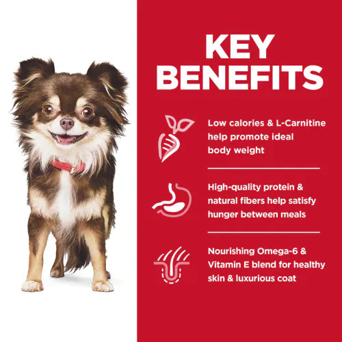 Key Benfits