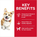 Hill’s Science Diet Adult Small Bites Dry Dog Food Chicken & Barley Recipe - Dry Dog Food 4