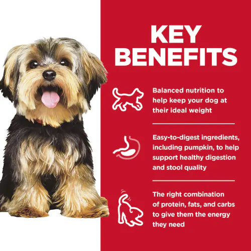 Hill’s Science Diet Adult Small & Mini Lamb Meal & Brown Rice Recipe Dry Dog Food 15.5 lb bag - Small Breed Dog Food 4