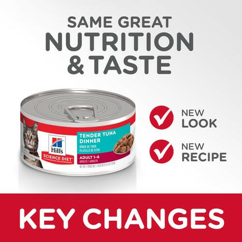 Key changes