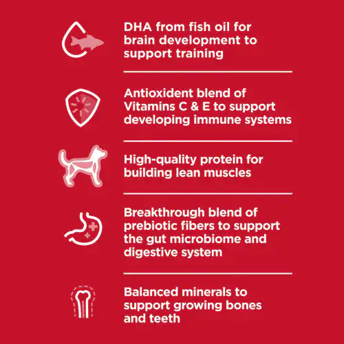 Benefits