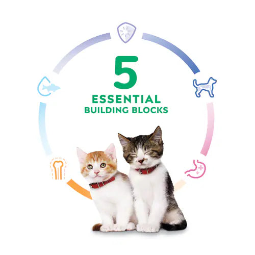 Building blocks