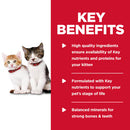 Hill’s Science Diet Kitten Canned Cat Food Tender Chicken Dinner (5.5 oz x 24 cans) - Wet Cat Food 4