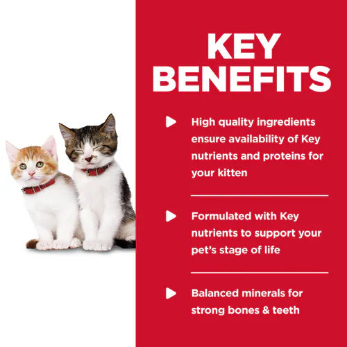 Hill’s Science Diet Kitten Canned Cat Food Tender Chicken Dinner (5.5 oz x 24 cans) - Wet Cat Food 4
