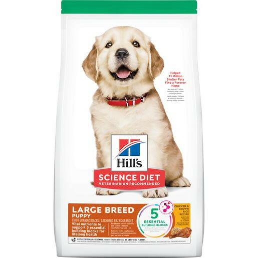 Hill’s Science Diet Puppy Large Breed Dry Dog Food Chicken & Brown Rice Recipe (15.5 lb) - Dry Dog Food 1
