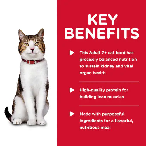 Key benefits