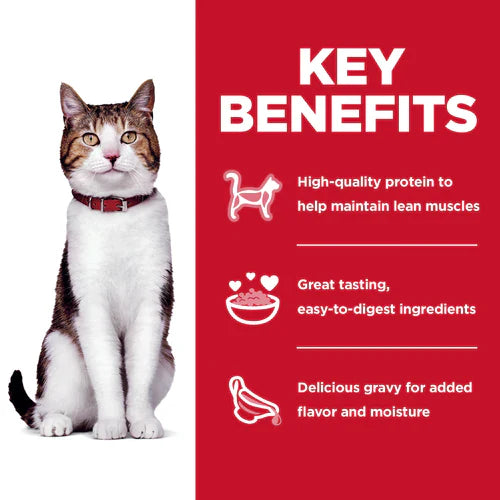 Key benefits