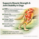 HMB Healthy Muscle & Strength Granules for Dogs - Dog Hip & Joint Supplements 3