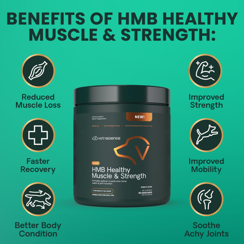 HMB Healthy Muscle & Strength Supplement for Dogs