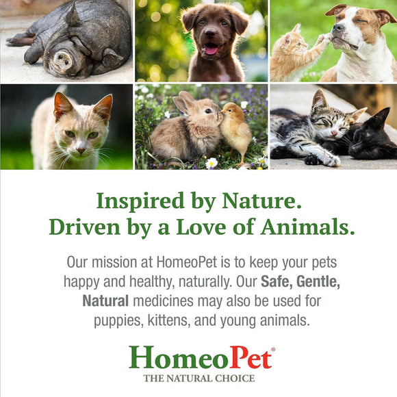 HomeoPet Feline Kidney Rescue 15-ml - Cat Health Care & Wellness 7