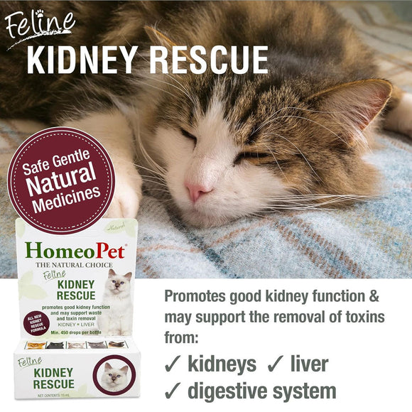 HomeoPet Feline Kidney Rescue 15-ml - Cat Health Care & Wellness 2