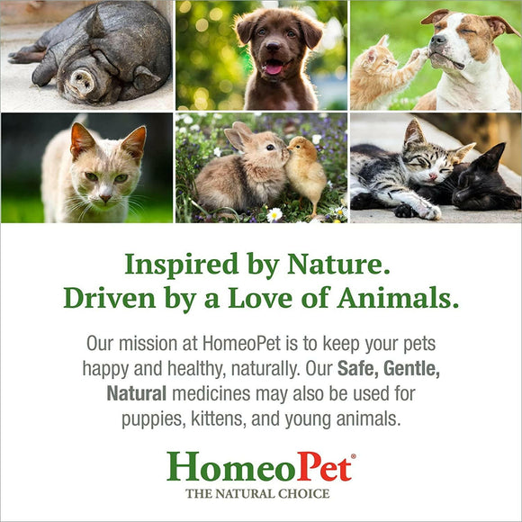 HomeoPet Joint Stress (15 ml) - Dog Supplements & Vitamins 7