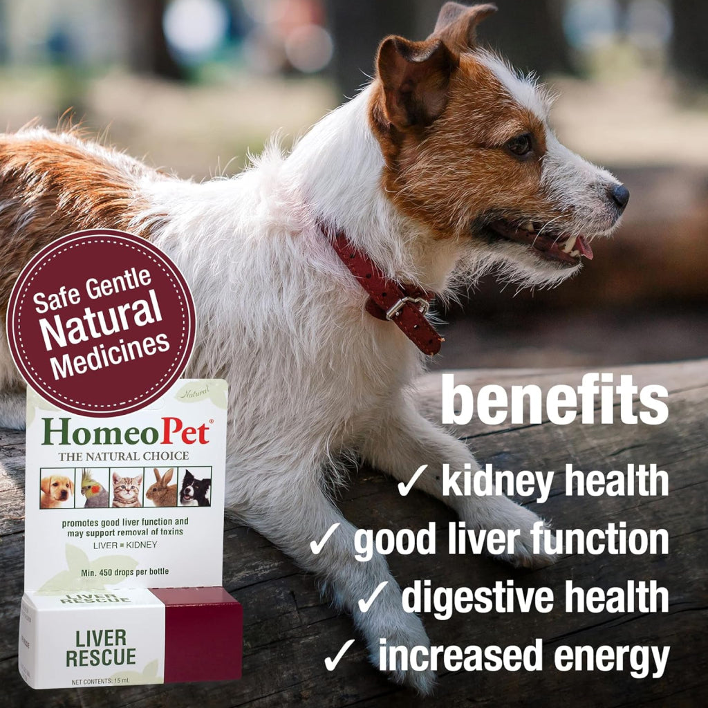 HomeoPet Liver Rescue Homeopathic Medicine For Pets Liver Disease