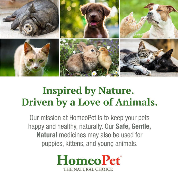 HomeoPet Storm Stress for Small Animals
