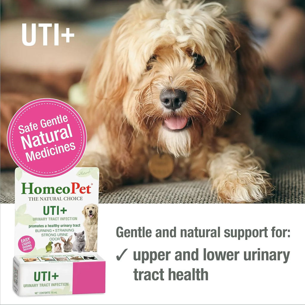 HomeoPet UTI Plus Urinary Tract Support Liquid Drops for Pets