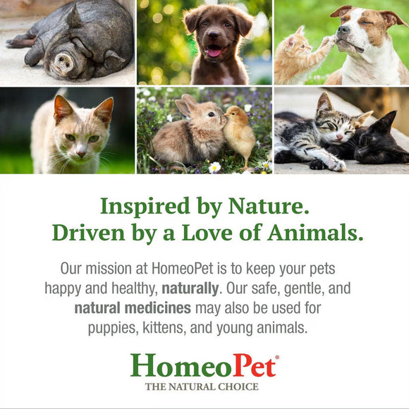 HomeoPet WRM Clear for Pets