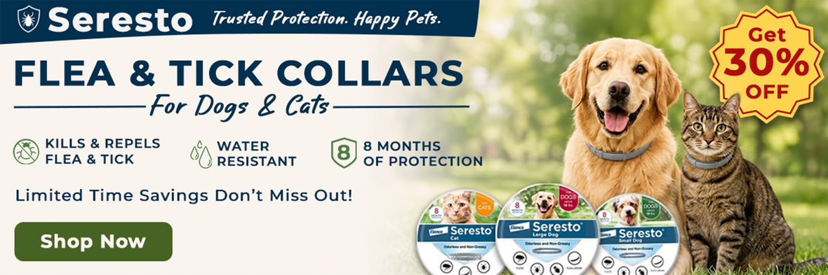 Homepage banner 1200x400 1d228748 dbae 49fa a4c3 2847cc177ecd