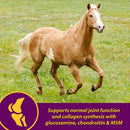 Horse Health Products Joint Combo Hoof & Coat 3-in-1 Apple Flavor Pellets Horse Supplement (3.75 lb)