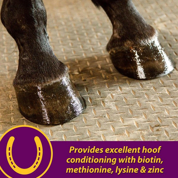 Horse Health Products Joint Combo Hoof & Coat 3-in-1 Apple Flavor Pellets Horse Supplement (3.75 lb)