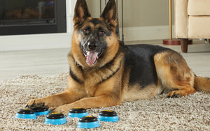 Hunger for Words Talking Pet Essential Words - Dog Toys 2