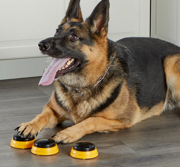 Hunger for Words Talking Pet Next Words Name - Dog Toys 2