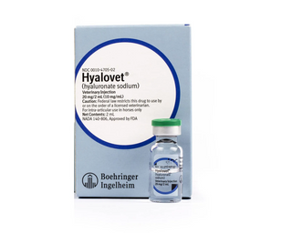 Hyalovet (Hyaluronate Sodium) Injection