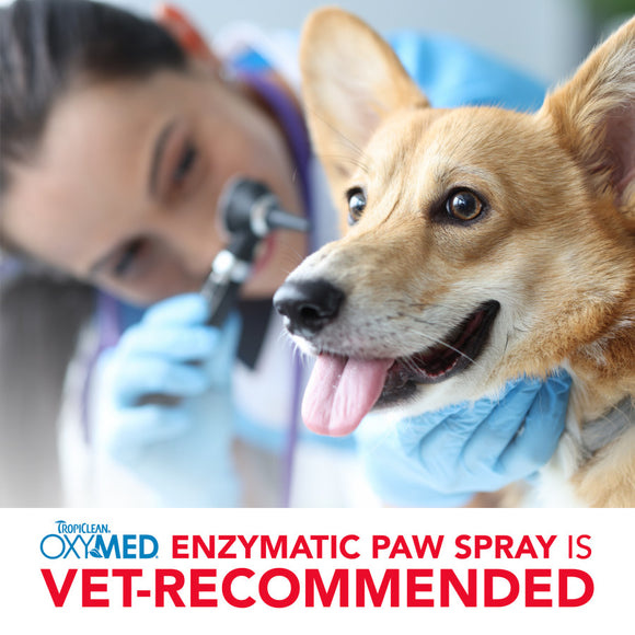 Tropiclean OxyMed Enzymatic Paw Odor & Itch Spray, 8-oz