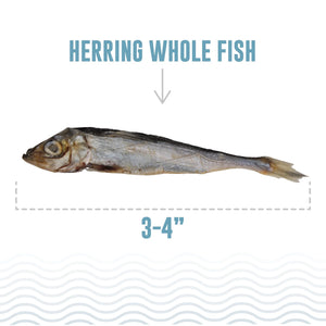 Icelandic+ Herring Whole Fish Natural Dog Treats 9-oz - Dog Treats 2