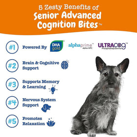 Zesty Paws Senior Advanced Cognition Bites Chicken Flavor Calming Supplement For Dogs (90 ct)
