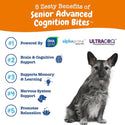 Zesty Paws Senior Advanced Cognition Bites Chicken Flavor Calming Supplement For Dogs (90 ct)