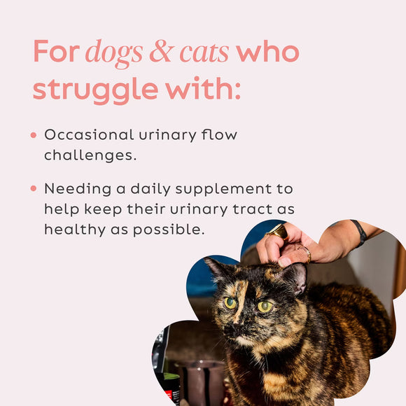 Super Snouts Urinary Support Health Supplement Powder for Dogs & Cats, 2.64-oz