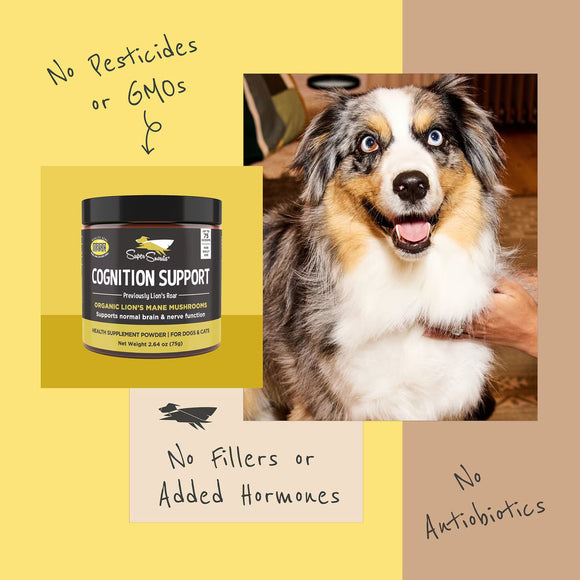 Super Snouts Cognition Support for Dogs & Cats, 75g